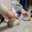 Photographie d'une animation pédagogique de fabrication d'un rhombe en bois