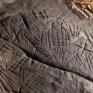 Photographie d'un rocher grès sculpté de gravures protohistoriques en forêt de Fontainebleau