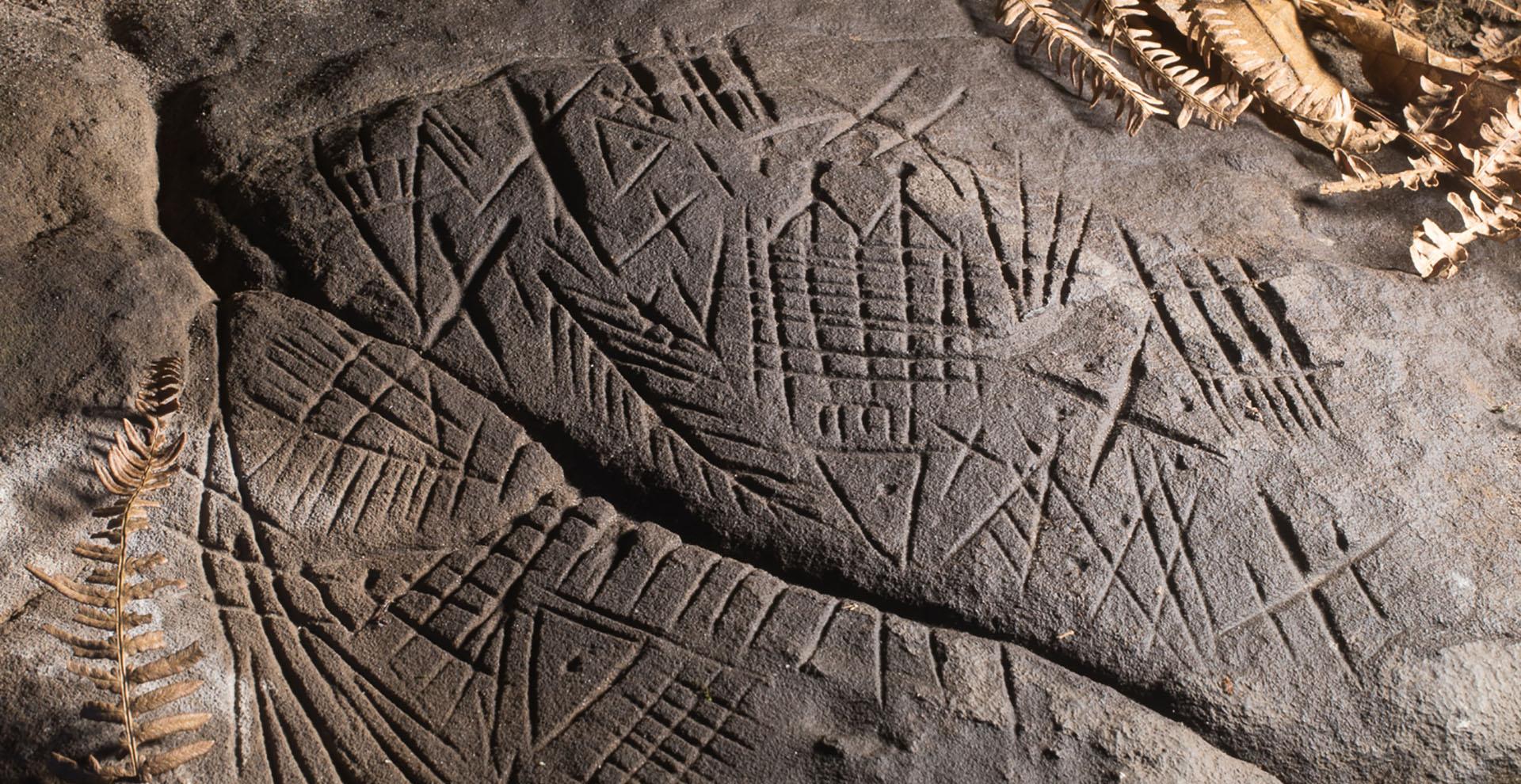 Photographie d'un rocher grès sculpté de gravures protohistoriques en forêt de Fontainebleau