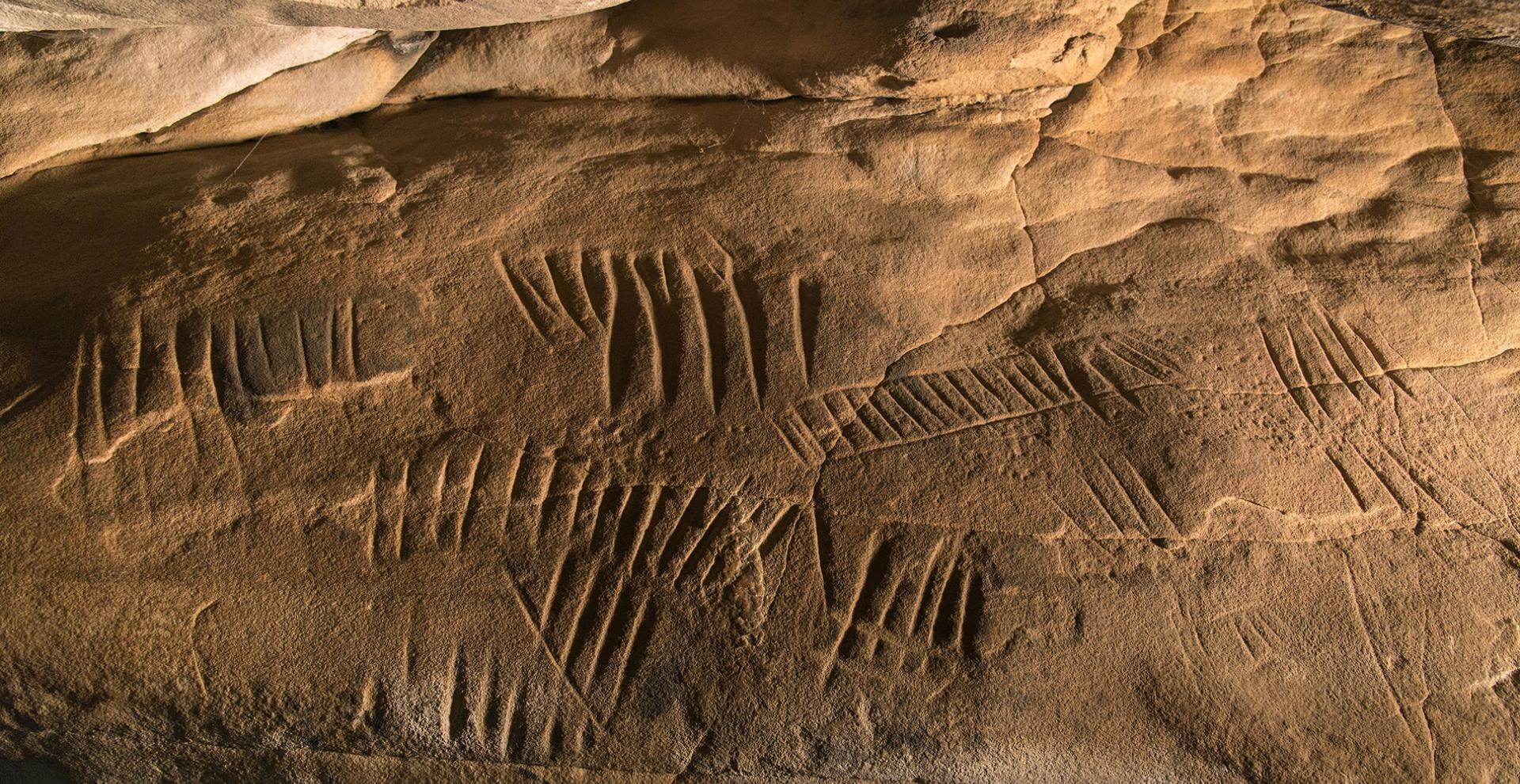 Photographie d'une paroi gravée de traits et sillons dans la grotte à la Peinture de Larchant (77)