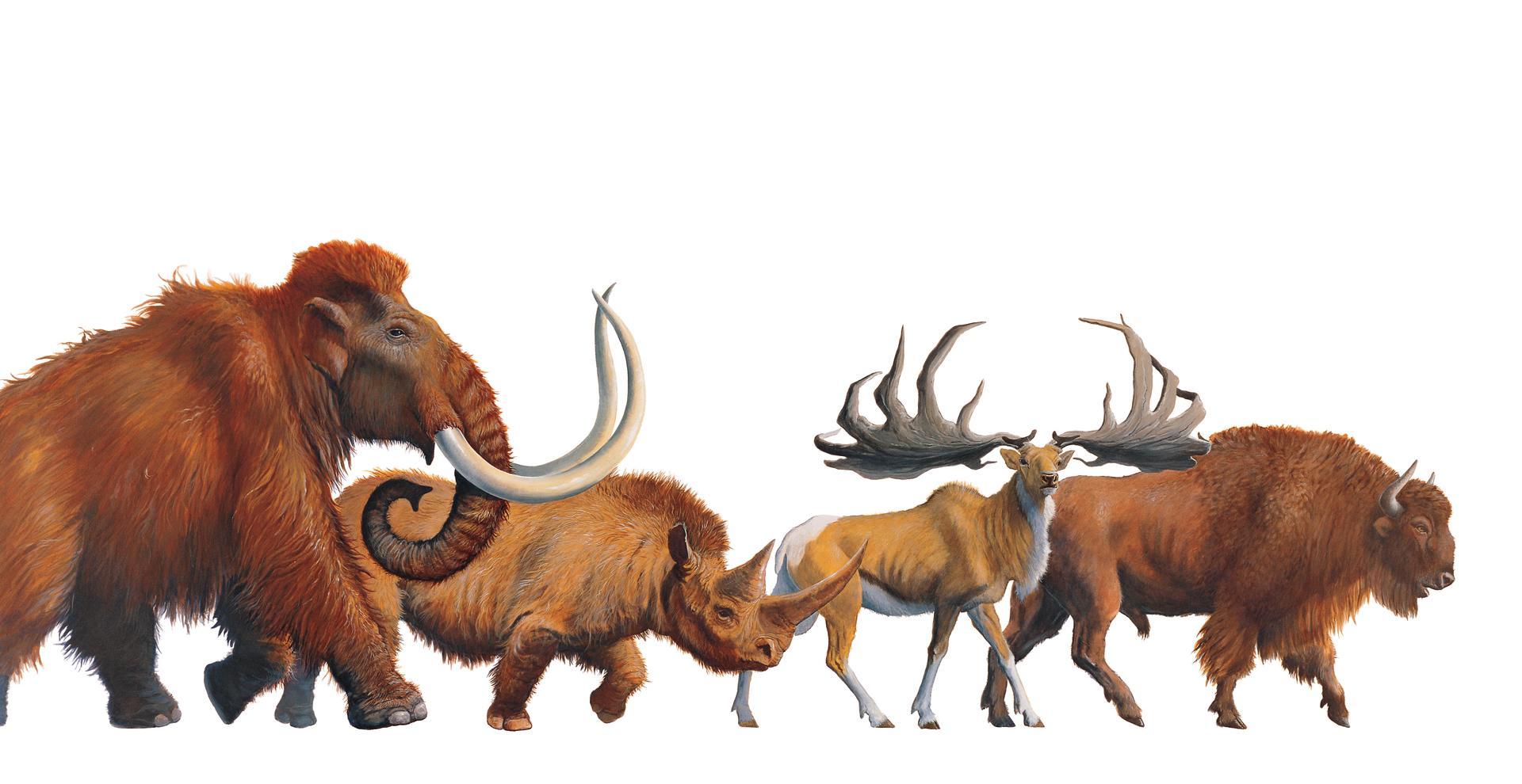 Frise picturale représentant des animaux préhistoriques