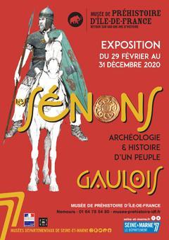 Affiche de l'exposition "Les Sénons. Archéologie et Histoire d'un peuple gaulois"