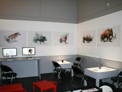 Agrandir l’image