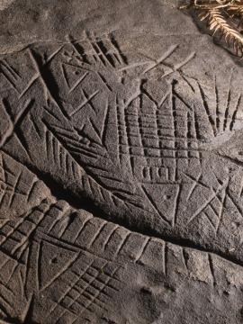 Photographie d'un rocher grès sculpté de gravures protohistoriques en forêt de Fontainebleau