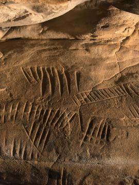Photographie d'une paroi gravée de traits et sillons dans la grotte à la Peinture de Larchant (77)