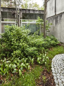 Vue du jardin intérieur n°7 du musée qui évoque un paysage forestier d'un climat légèrement plus océanique que l'actuel