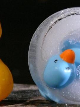 Photographie de deux canards en plastique dont un est pris dans la glace