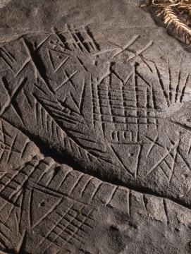 Photographie d'un rocher grès sculpté de gravures protohistoriques en forêt de Fontainebleau