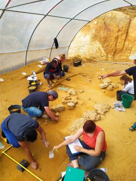 Vue du site archéologique d'Ormesson (77) en cours de fouille