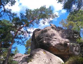 Paysage de rochers de grès dans la forêt de Fontainebleau