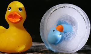 Photographie de deux canards en plastique dont un est pris dans la glace