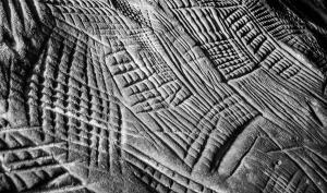 Gravures rupestres dans le massif de Fontainebleau