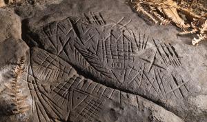 Photographie d'un rocher grès sculpté de gravures protohistoriques en forêt de Fontainebleau