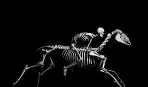 photographie d'un squelette humain chevauchant un squelette de cheval