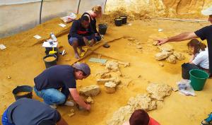 Vue du site archéologique d'Ormesson (77) en cours de fouille