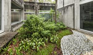 Vue du jardin intérieur n°7 du musée qui évoque un paysage forestier d'un climat légèrement plus océanique que l'actuel