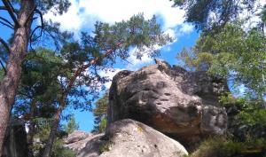 Paysage de rochers de grès dans la forêt de Fontainebleau