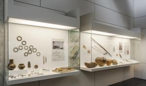 Vitrines présentant des objets du Néolithique (salle 6 du musée)