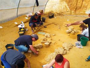 Vue du site archéologique d'Ormesson (77) en cours de fouille