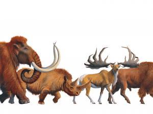 Frise picturale représentant des animaux préhistoriques