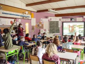 Vue depuis une classe d'une visite guidée à distance de l'exposition "Les Sénons"