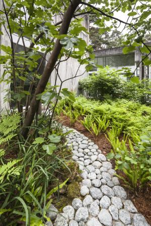 Vue du jardin intérieur n°2 du musée qui évoque un paysage forestier de climat tempéré chaud