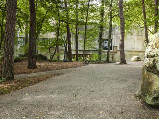 L'allée menant au musée à travers le parc forestier du musée
