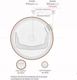 Analyse dendrochronologique de la barque carolingienne.