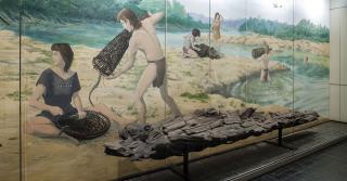 Salle 5 du musée. Vitrine présentant une pirogue préhistorique au pied d'une peinture murale, signée Gilles Tosello,illustrant la vie quotidienne au Mésolithique