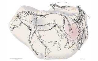 Relevé archéologique de la face A de la pierre gravée d'Etiolles. Représentation d'un cheval et d'une figure indéfinie.