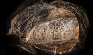 Photographie d'un abri sous roche gravé du massif de Fontainebleau