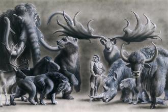Illustration représentant l'homme de Néandertal entouré d'animaux préhistoriques