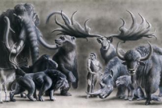 Neandertal et animaux.