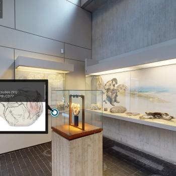 Visite virtuelle du musée de Préhistoire d'Île-de-France