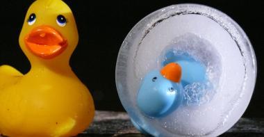 Photographie de deux canards en plastique dont un est pris dans la glace