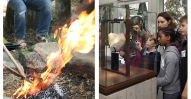 Vignette animation de l'été