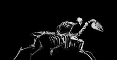 photographie d'un squelette humain chevauchant un squelette de cheval