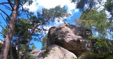 Paysage de rochers de grès dans la forêt de Fontainebleau