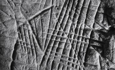 Couverture Mémoire rupestre, les roches gravées du Massif de Fontainebleau.