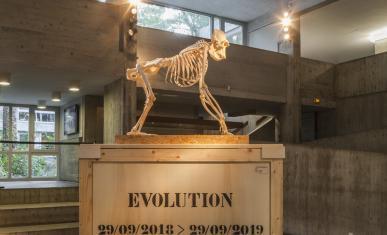 Exposition Évolution, photo 1.