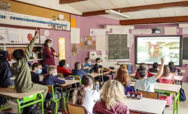 Vue depuis une classe d'une visite guidée à distance de l'exposition "Les Sénons"