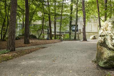 L'allée menant au musée à travers le parc forestier du musée