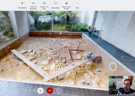 Visite guidée à distance du musée, commentée en direct par un conférencier