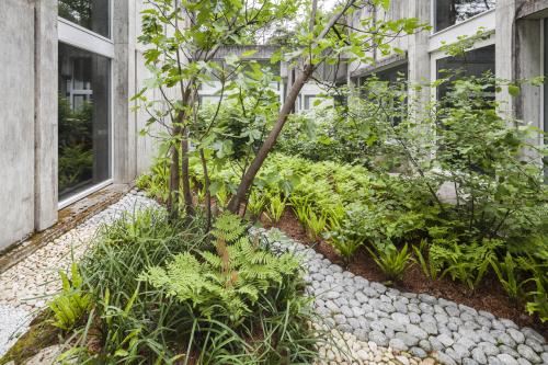 Photographie du jardin intérieur n°2 du musée de préhistoire