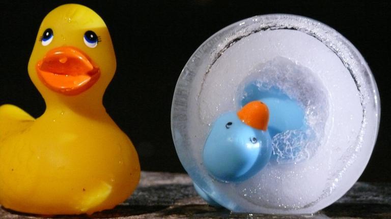 Photographie de deux canards en plastique dont un est pris dans la glace