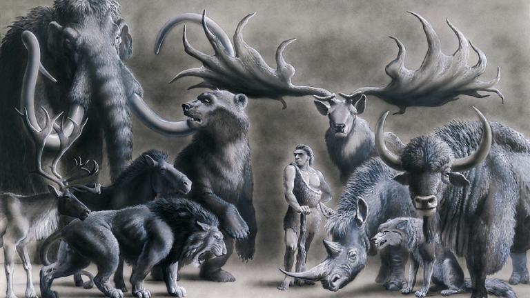 Illustration représentant l'homme de Néandertal entouré d'animaux préhistoriques