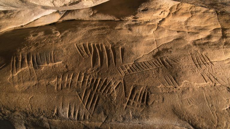 Photographie d'une paroi gravée de traits et sillons dans la grotte à la Peinture de Larchant (77)