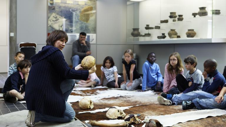 animation scolaire au musée