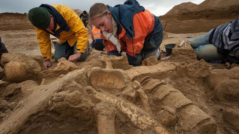 Fouille archéologique d'un squelette de mammouth à Changis-sur-Marne