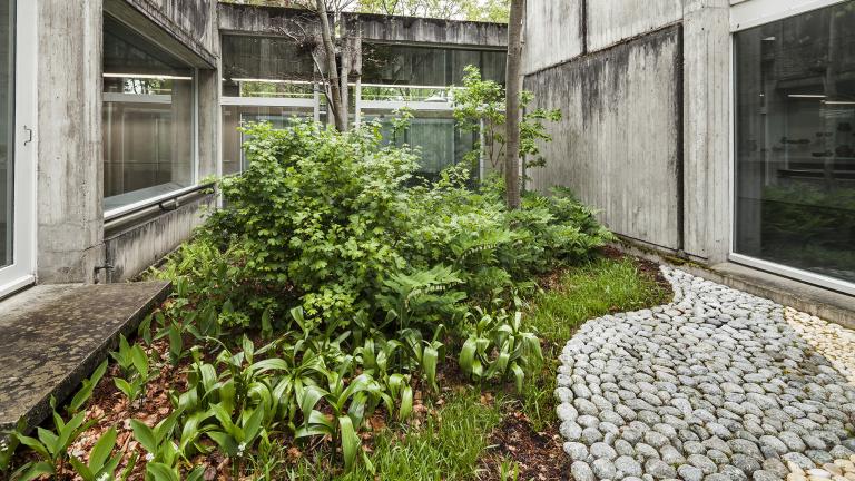 Vue du jardin intérieur n°7 du musée qui évoque un paysage forestier d'un climat légèrement plus océanique que l'actuel